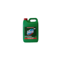 Domestos mountain fresh 5L