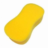 EDCO Peanut Carwash Sponge