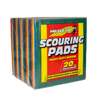 SABCO Heavy Duty Scouring Pads x 20