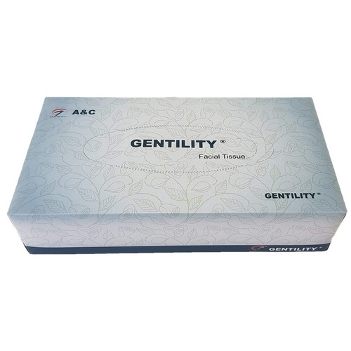 GENTILITY Facial Tissue Premium 2Ply 100 Sheets Single Box